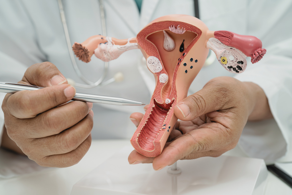 Dobre novice za maternični vrat: ONCORIN P53 in pot do negativnega izvida
